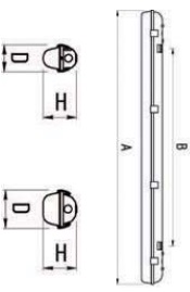 �������. �����